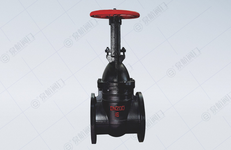 Rising Stem Parallel Double Gate Valve