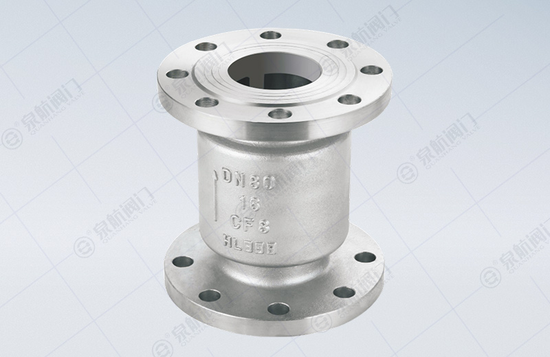 Vertical Flange Check Valve