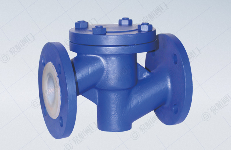 Fluorine Lined Check Valve