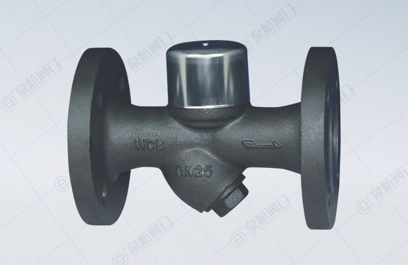 Thermodynamic Disc Steam Trap